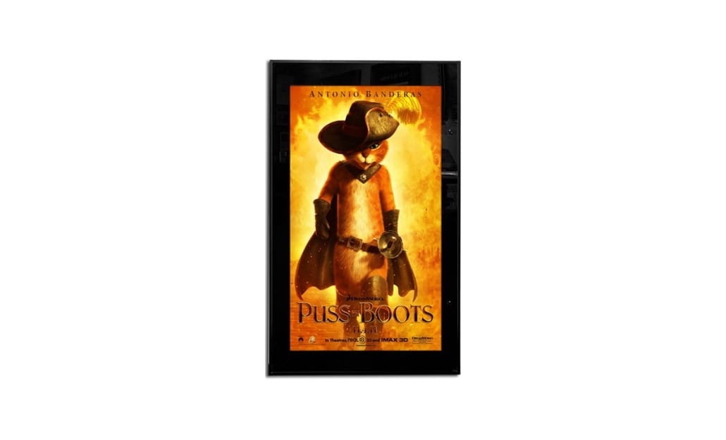 Bass Industries Profile Series Poster Case